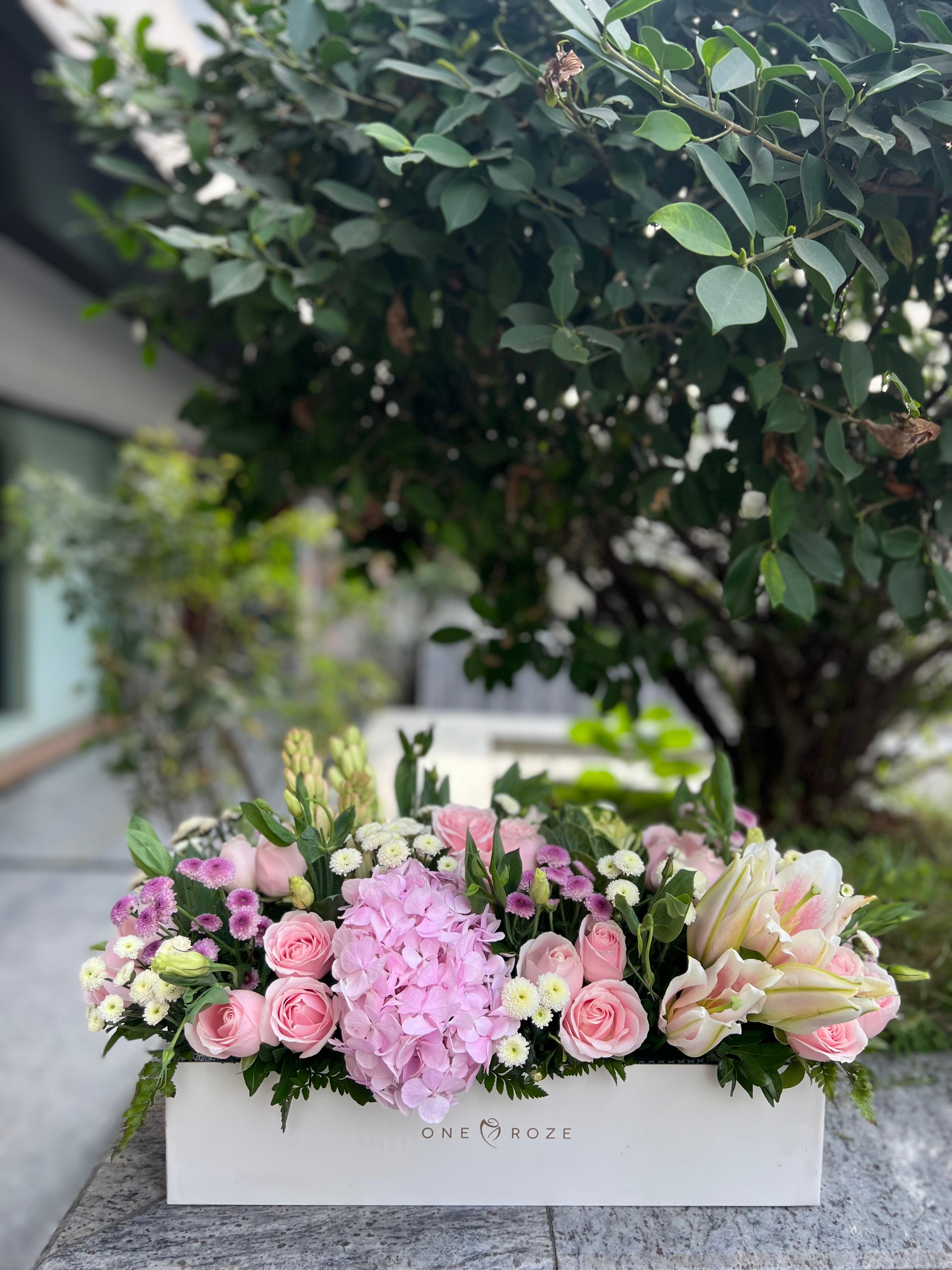 White Tray Box (Pink)
