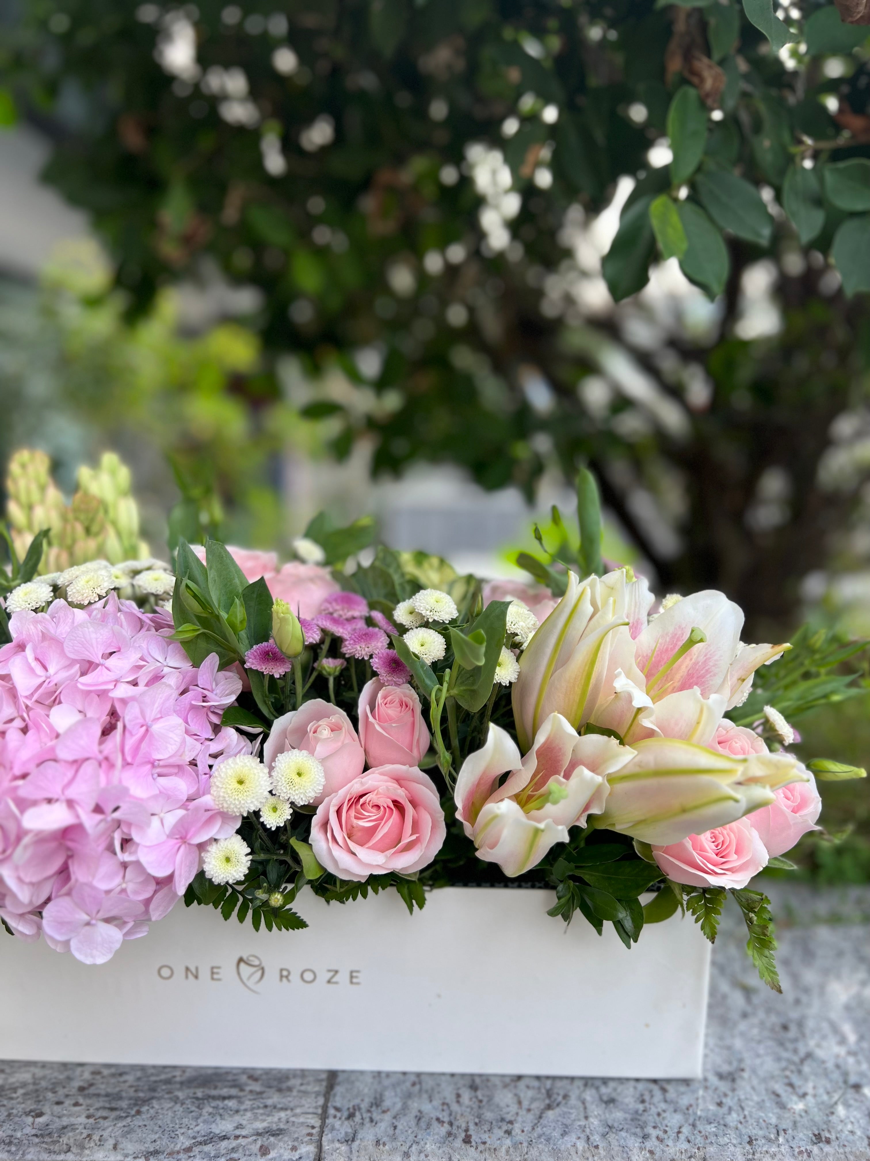 White Tray Box (Pink)