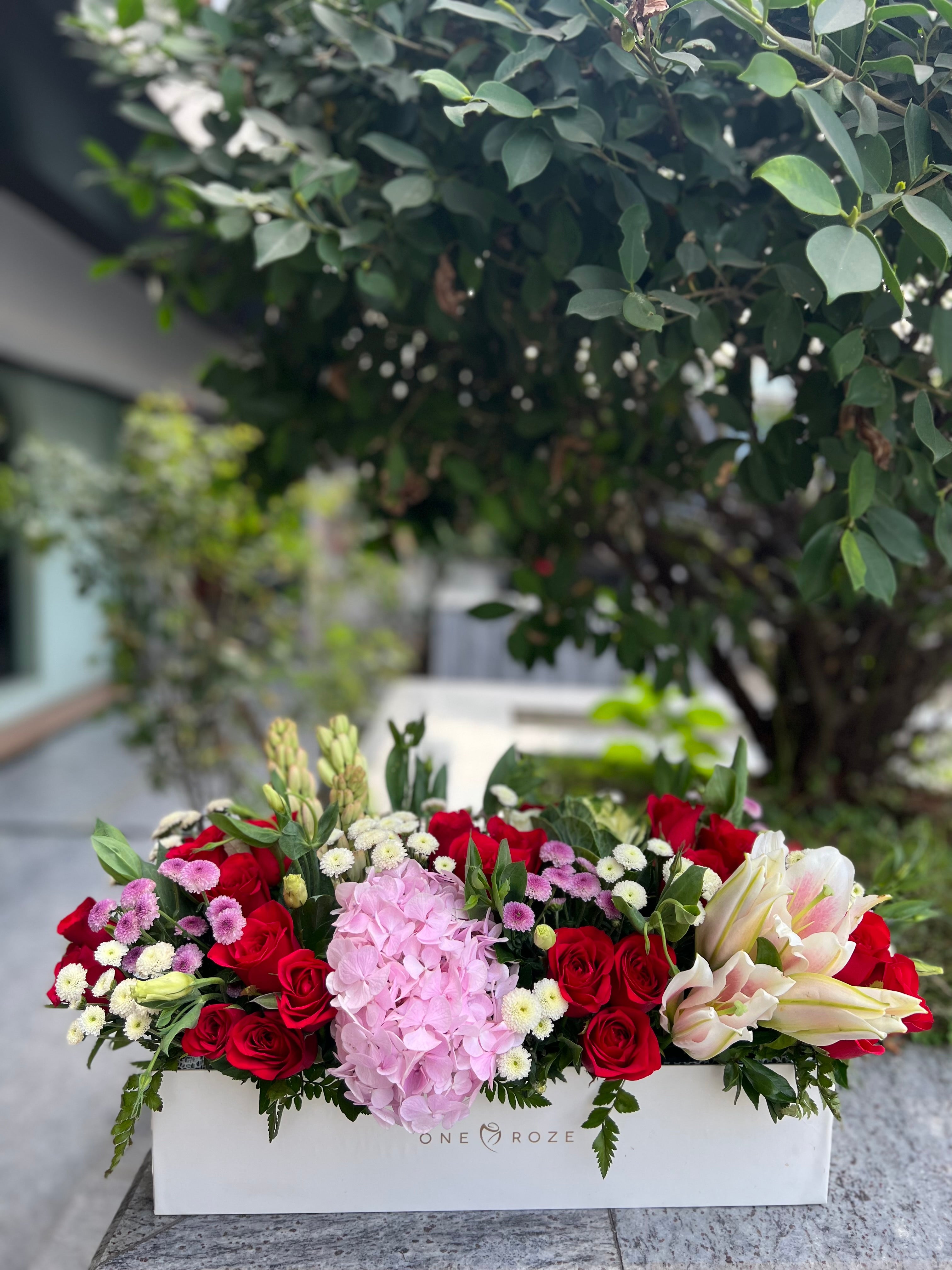 White Tray Box (Red)