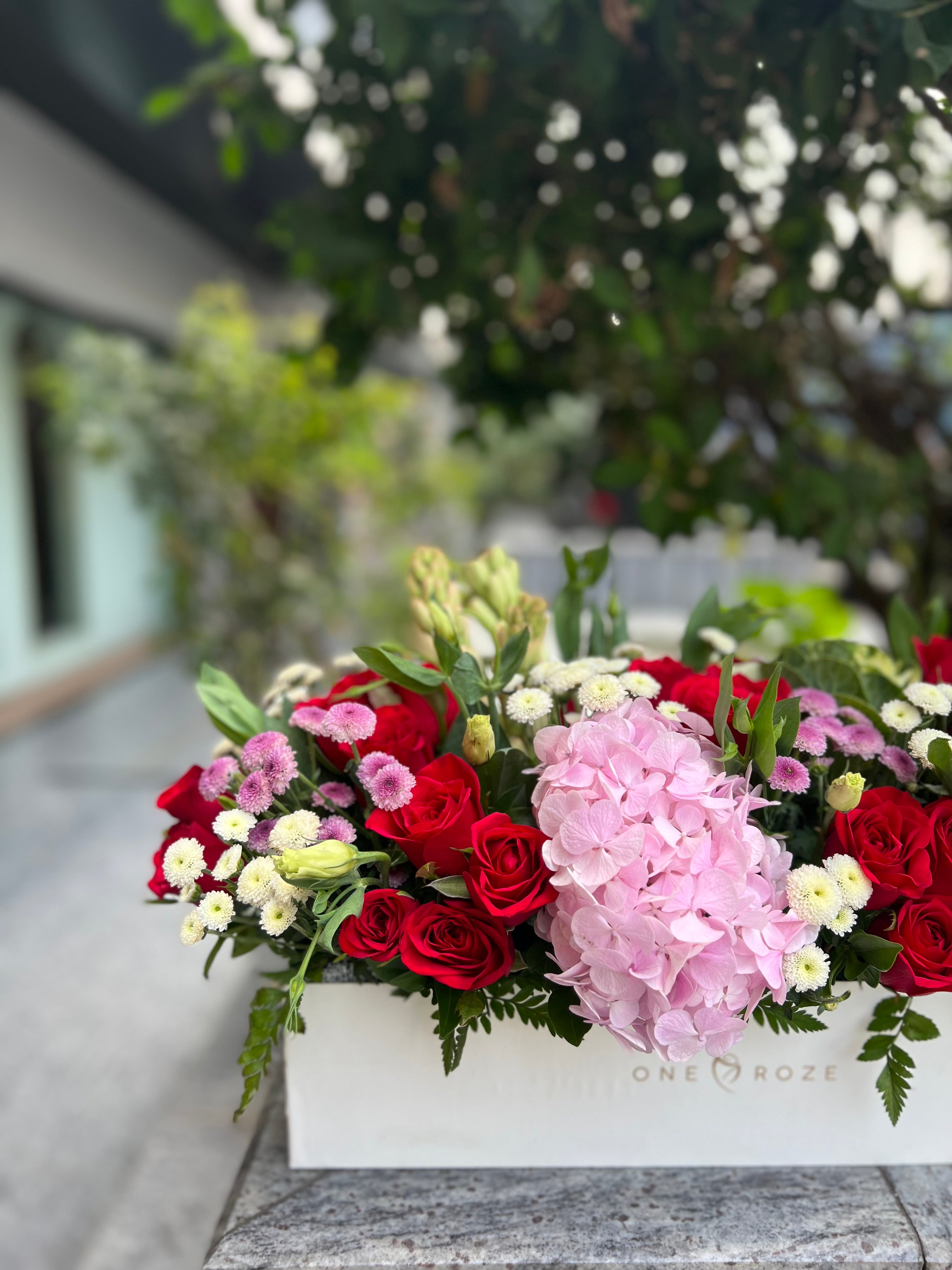 White Tray Box (Red)